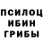 Галлюциногенные грибы мухоморы Paul Balchin