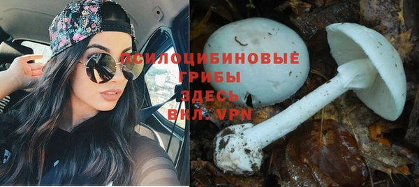 MDMA Premium VHQ Алзамай